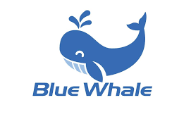 Blue Whale